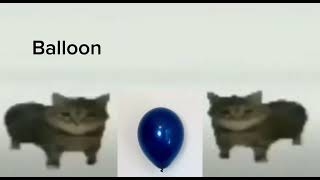 This Is A Balloon