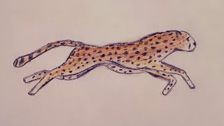 Çita nasıl çizilir 🐆/ Kolay Çita çizimi / How to draw a cheetah / Easy cheetah drawing