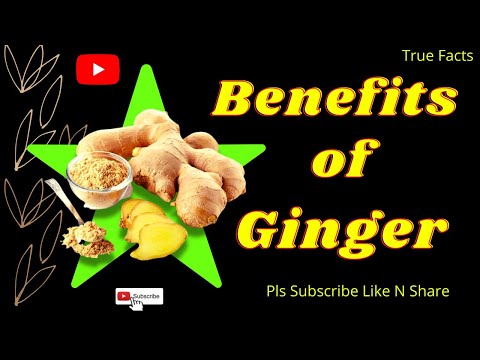 Health Benefits of Ginger || True Facts || Ginger Facts