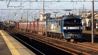 2020/01/21 JR貨物 5074レ EF210-162 清洲駅 | JR Freight: Cargo Train at Kiyosu