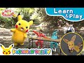 Art de Pokémon: Fallen Leaves Edition | Learn &amp; Play with Pokémon | Pokémon Kids TV​