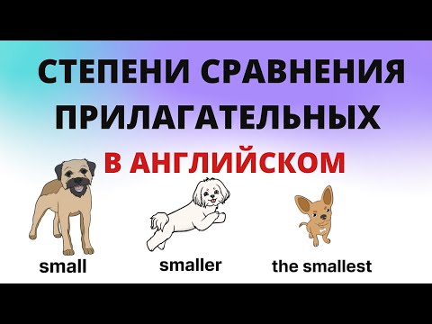 Степени сравнения прилагательных в английском языке. #АнглийскийДляНачинающих #Английский