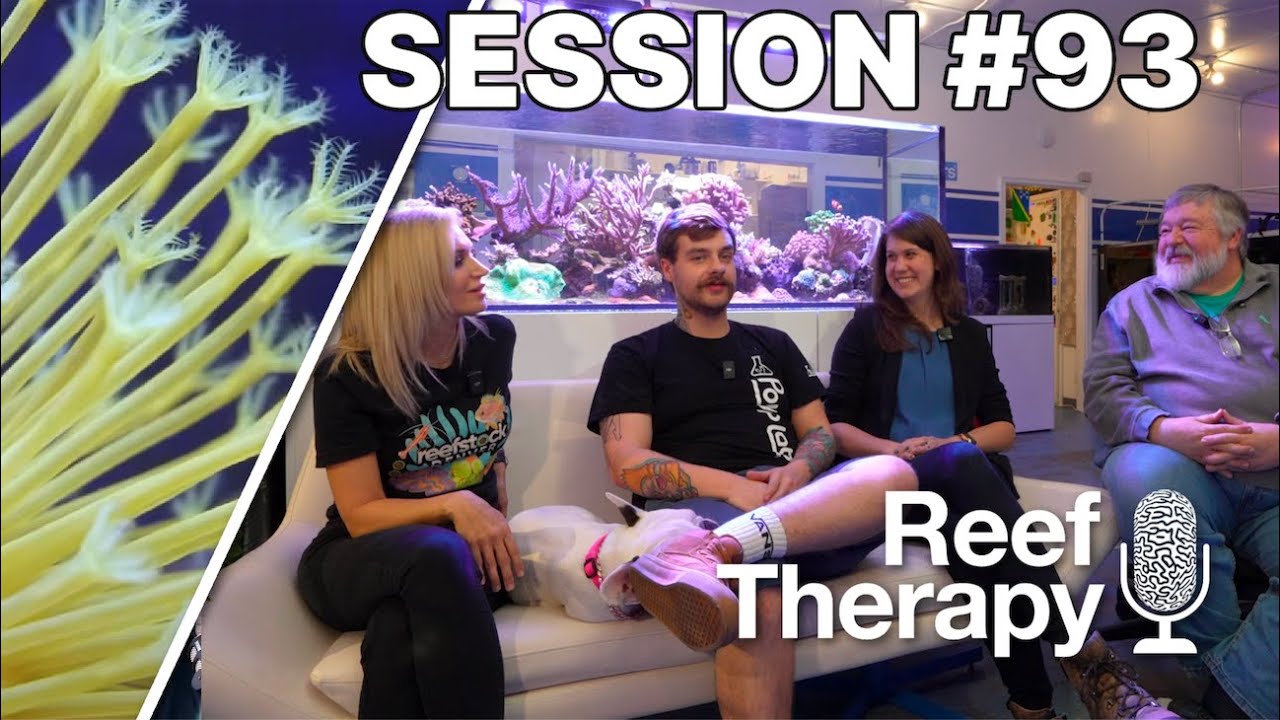 Live From the Reef Builders Studio | #93 - YouTube