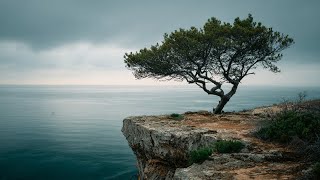 Peaceful Bonsai Tree| TV Screensaver | 4K Ultra HD | TV Art | Turn Your TV Into Art | No Music  screenshot 1
