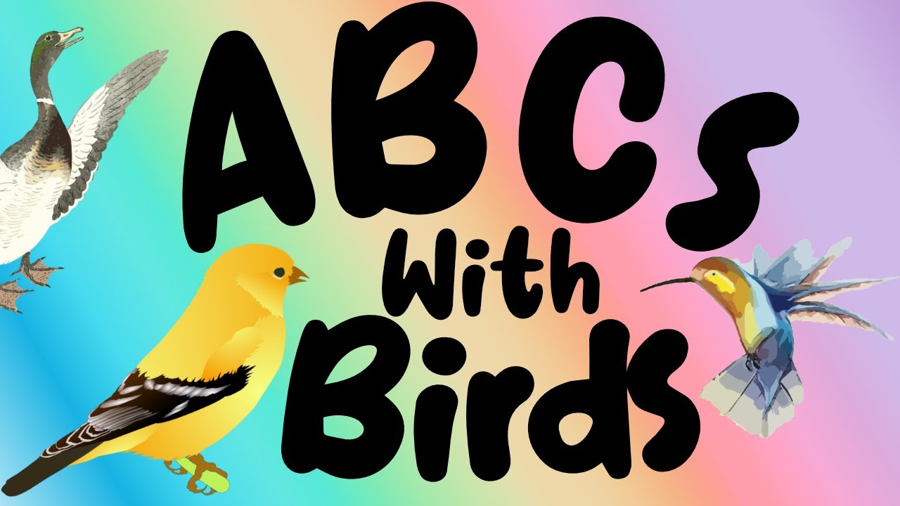 ABCs with Birds - A to Z Alphabet with Birds for Children of All Ages ...
