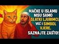 Mačke U Islamu Nisu Samo Slatki Ljubimci Već I SIMBOL VJERE Saznajte Zašto