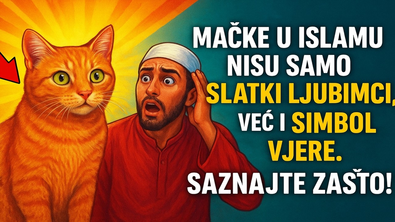 Mačke u islamu: Nisu samo slatki ljubimci, već i SIMBOL VJERE. Saznajte zašto!