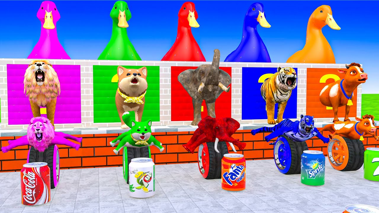 5 Giant Duck Cartoon,Cow,Elephant,Giraffe,Tiger,Lion, Paint Wild Animals Crossing Fountain Animation