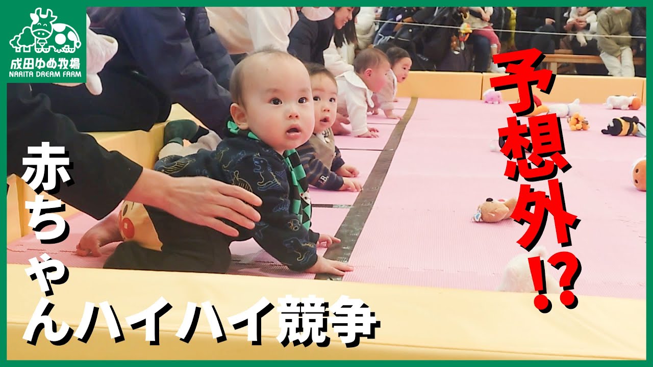 【人生初レース⁉】赤ちゃんハイハイ競争に密着！【奇想天外】