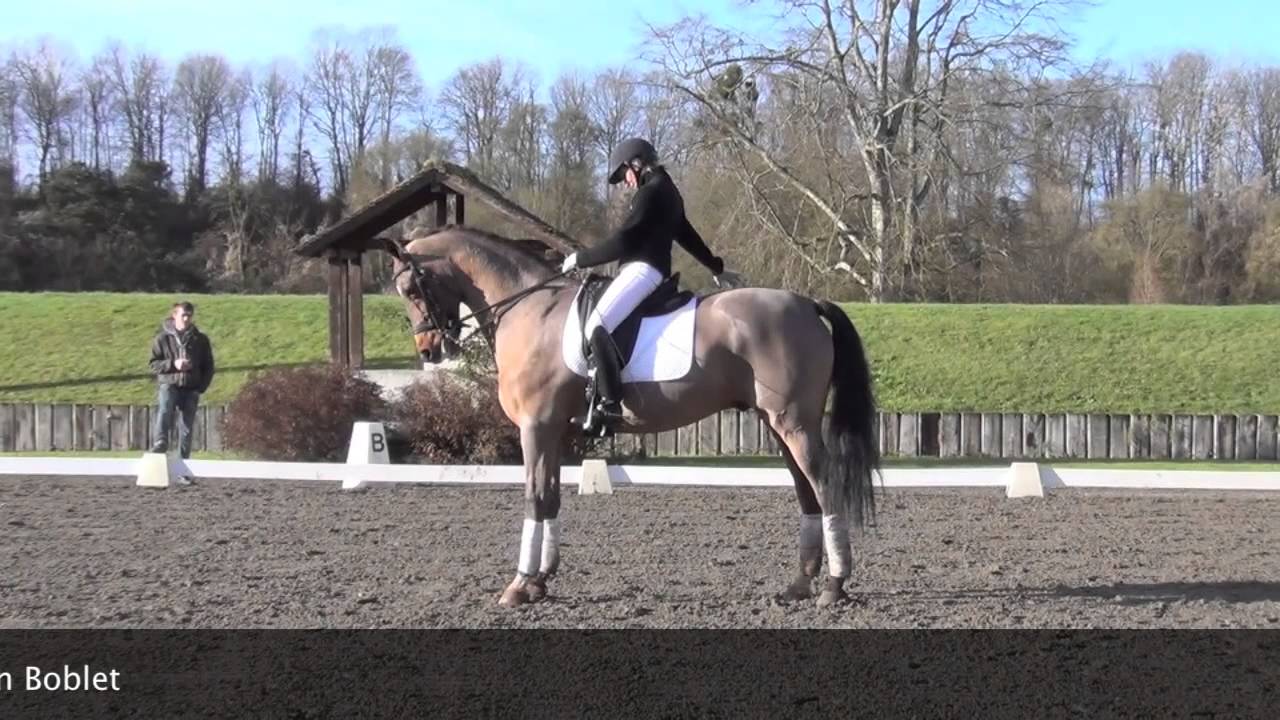 COMPETITION | Stage d'entrainement à Pamfou Dressage