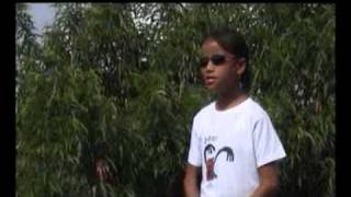 Nlc - Ngathum Kahaiya.mp4 Tangkhul Gospel Album...