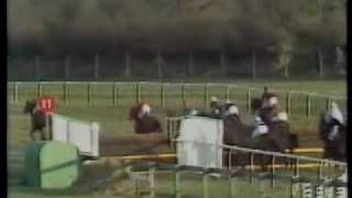 Horse Racing 1983 Massey Furgesson Gold Cup Cheltenham