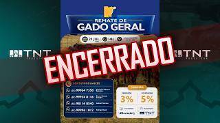 31/07 - Gado Geral Abascal Remates | 14h