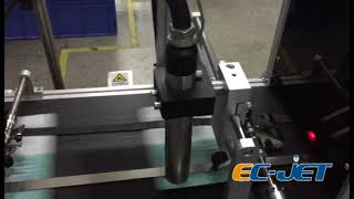 EC JET Printing & Stamp Character Inspection System