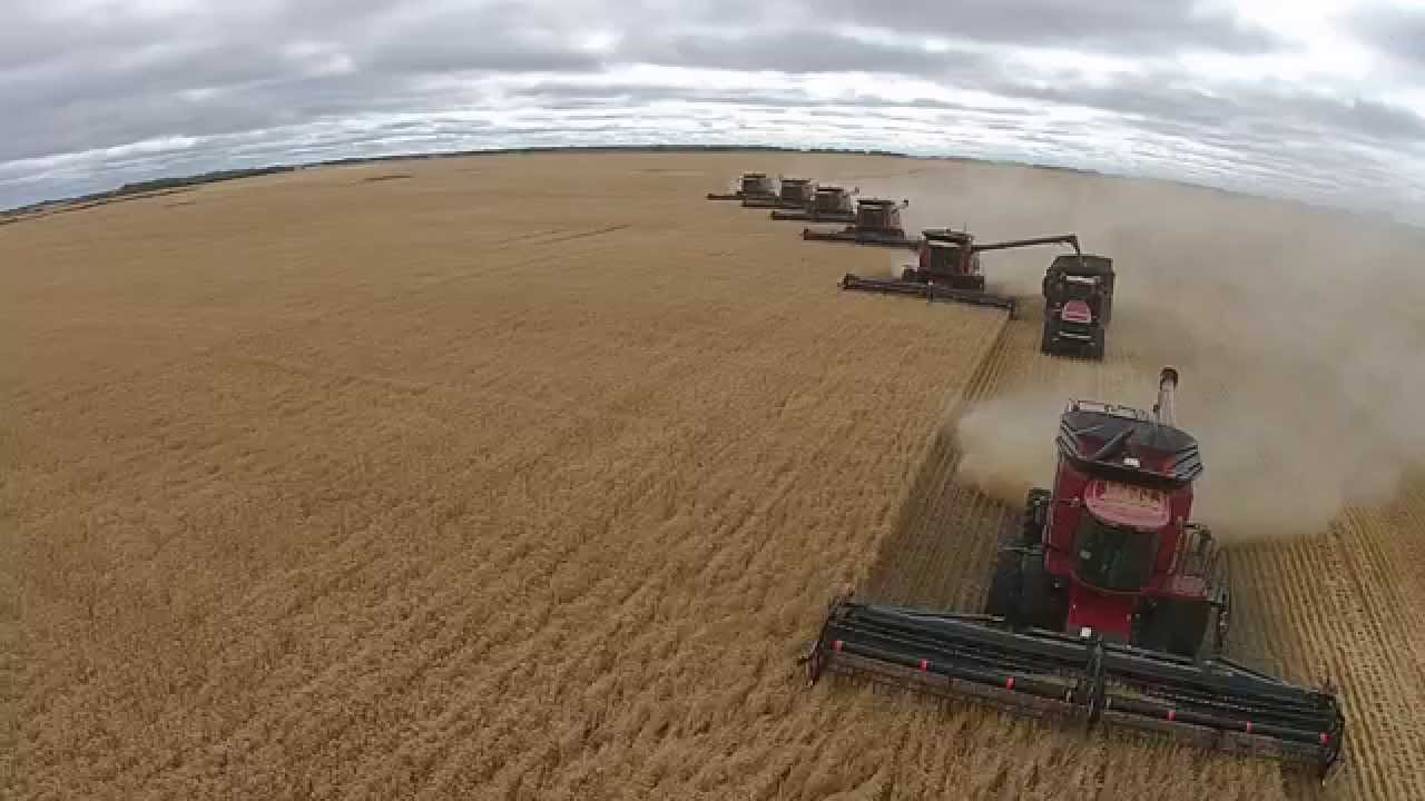 Horvath Harvest 2014