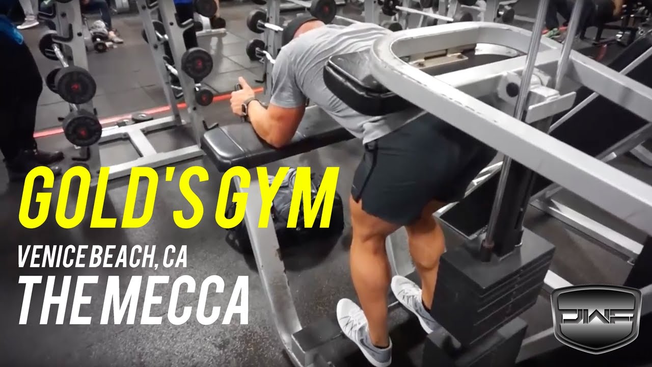 GOLD'S GYM (THE MECCA) VENICE BEACH, CA YouTube