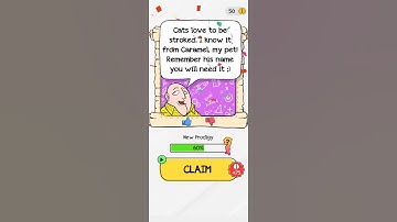 Braindom Level 15 Help me wake up my cat so I can take him for a walk Gameplay Solution Walkthrough