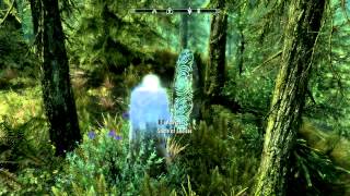 Skyrim: Sovngarde - Operation Comeback Version 0.98