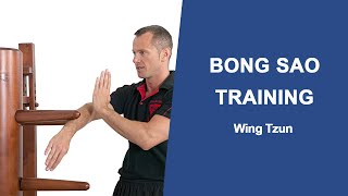 Wing Chun Holzpuppe: Übungen, Techniken & kaufen » DefPort