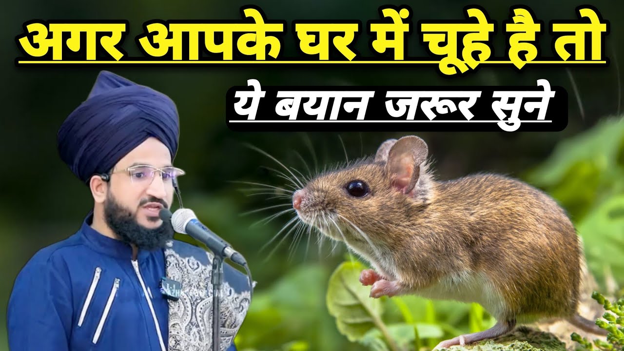 Agar Apke Ghar Me Chuhe Hai To Ye Bayan Jarur Sune | Mufti Salman Azhari | New Bayan