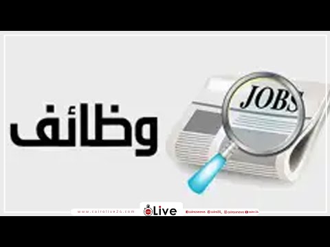 القوى العاملة تعلن 127 فرصة عمل للشباب بالقليوبية ووظائف بالإسكندرية براتب 3000 جنيه