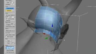 Wrapit: Mesh painting and bridging