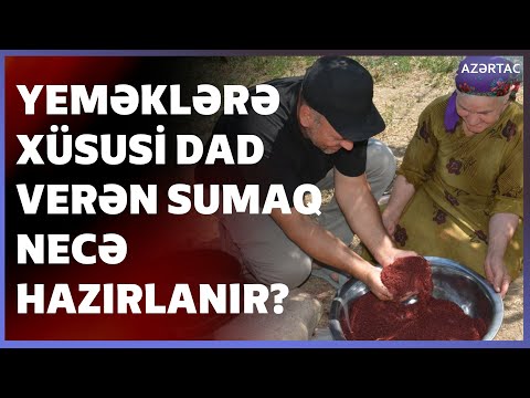Video: Ümumi Sumaq Ağacının Növləri - Mənzərədə Sumaq Yetişdirmək üçün Məsləhətlər
