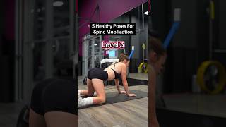 Spine Mobilisation.. #viral #viralclips #foryou #trending #youtubeshorts #shorts #short #shortvideo Spine Mobilisation.. #viral #viralclips #foryou #trending #youtubeshorts #shorts #short #shortvideo