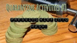 Quarantine Activities #1 pressing kief into a hash puck!