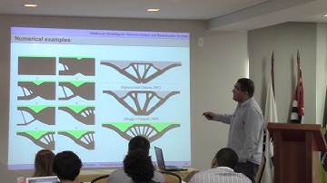 Topology optimization of multiphysics and scale systems - William Martins Vicente (FEM/Unicamp)