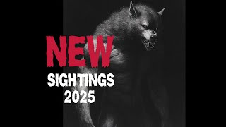 20 Plus CREEPIEST Dogman Videos EVER 2025