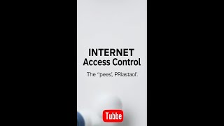 Internet Access Control: The 'Papers, Please' Revolution!
