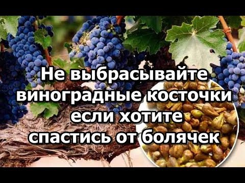 Что сделать из виноградных косточек в домашних условиях