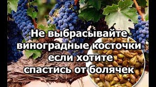Эликсир молодости. Не выбрасывайте виноградные косточки если хотите спастись от болячек Эликсир молодости. Не выбрасывайте виноградные косточки если хотите спастись от болячек