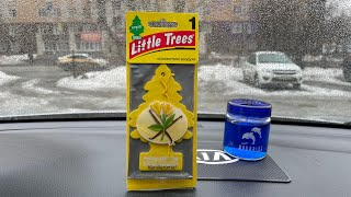 Обзор на ароматизатор LITLLE TREES VANILLA