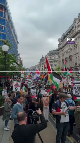 Hundreds of thousands march in London to commemorate 76th anniversary of the Nakba