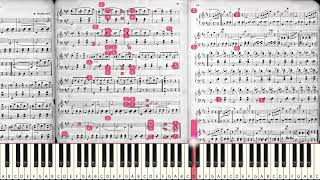 Émile Waldteufel: The Skaters [Sight-read]