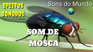 Som de mosca @washingtonarttherapy6592