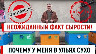 В ульях сухо! Неожиданная причина влажности. Правильная вентиляция.