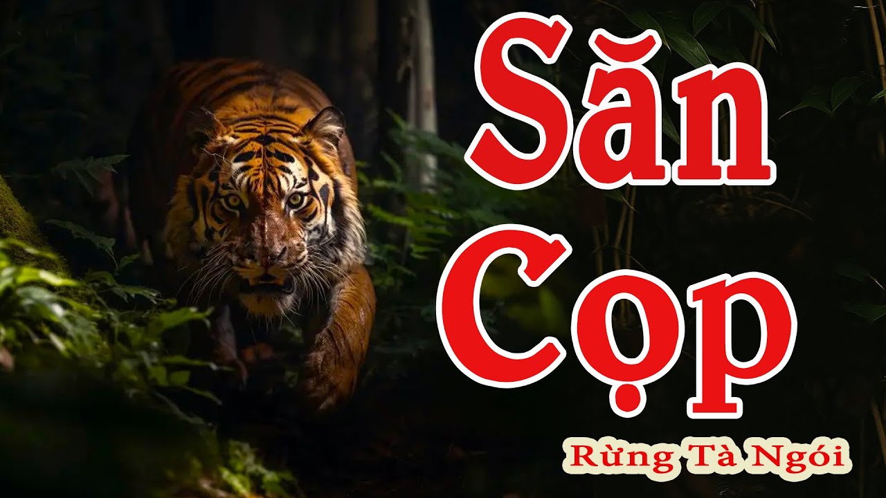 SĂN CỌP RỪNG TÀ NGÓI | Truyện Về Thợ Săn Giết Cọp Bảo Vệ Dân Làng | Kênh Truyện Xưa
