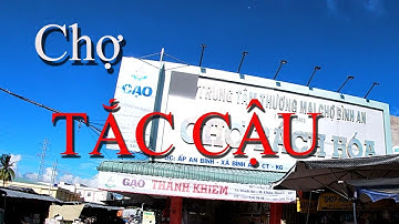 CHỢ CÁ TẮC CẬU, FISH TAC CAU MARKET.