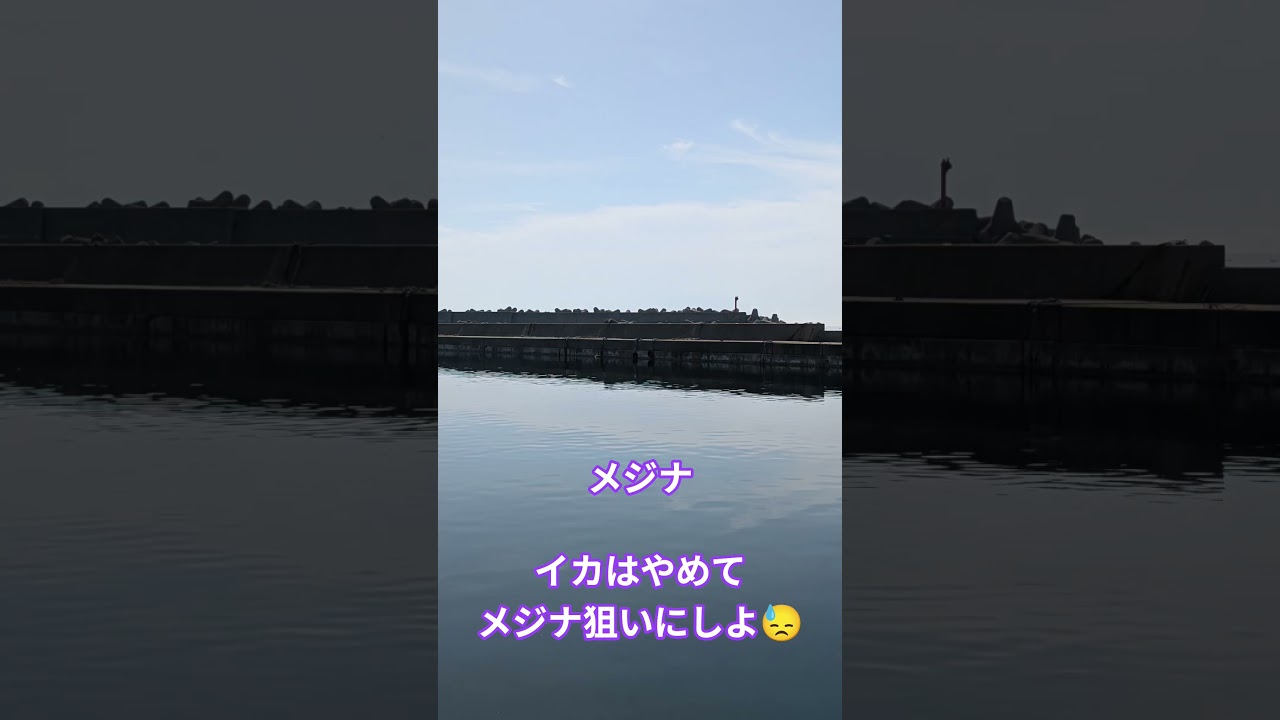 佐渡市 釣り メジナ