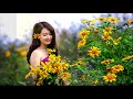 HTTTVNHN - Chương trình Sáng Tác Mới  - Giới thiệu nhạc phẩm Khi giòng sông vào Thu