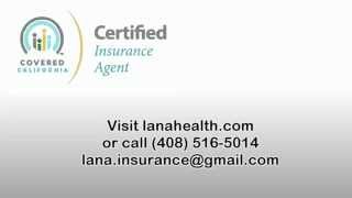 Overview lana insurance agency ...