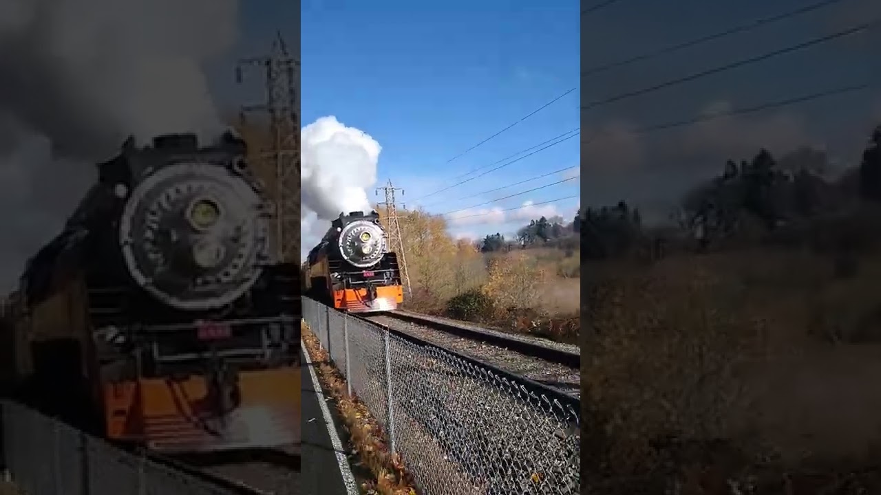 southern Pacific 4449 2019 Christmas excursion
