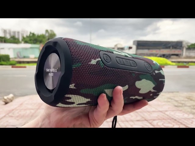 Test âm thanh SoundMax R800