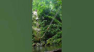 Fear of heights in Costa Rica #shorts