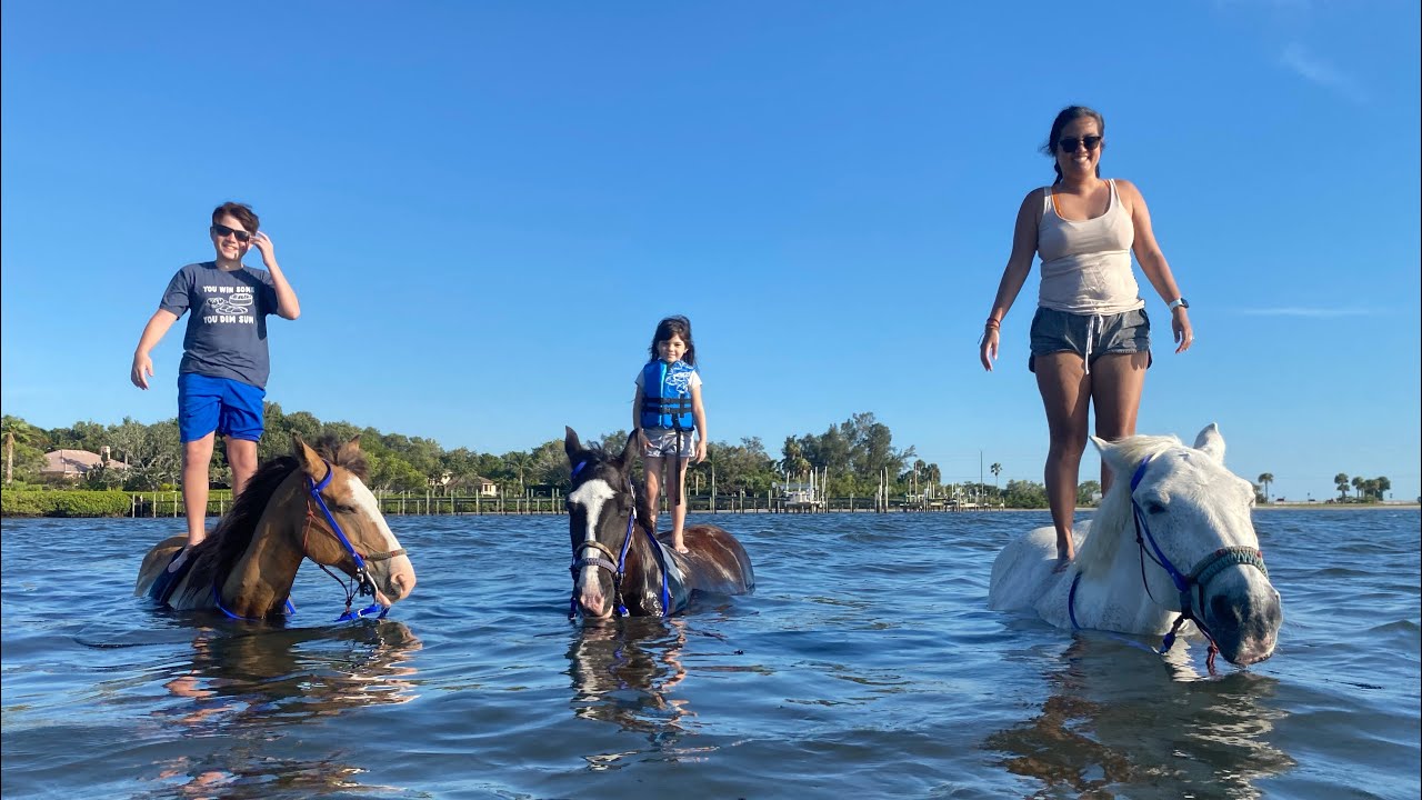 Horseback Riding in Palma Sola Bay 05/08/2021 YouTube