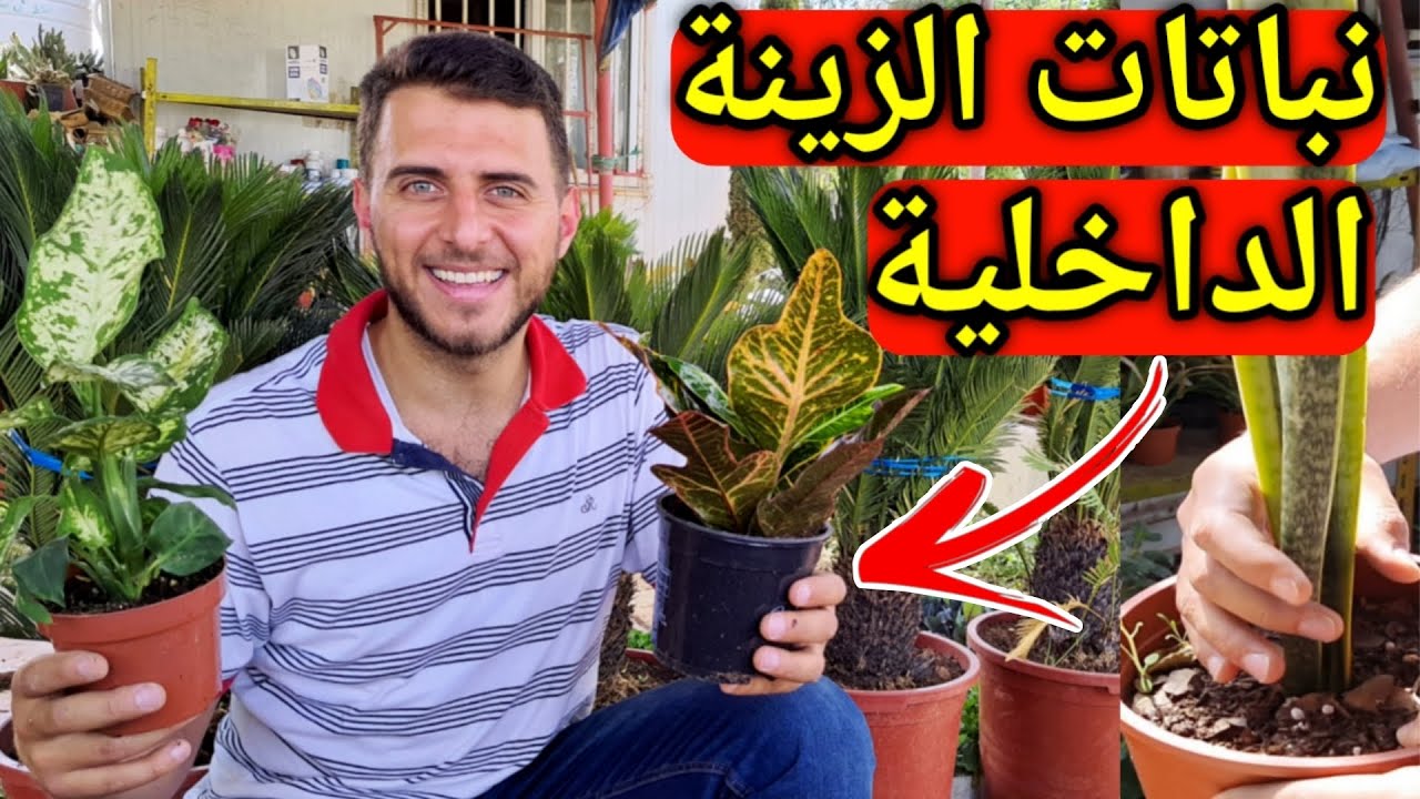 تعلم اسماء اشهر واجمل نباتات الزينة المنزلية 🪴 - YouTube