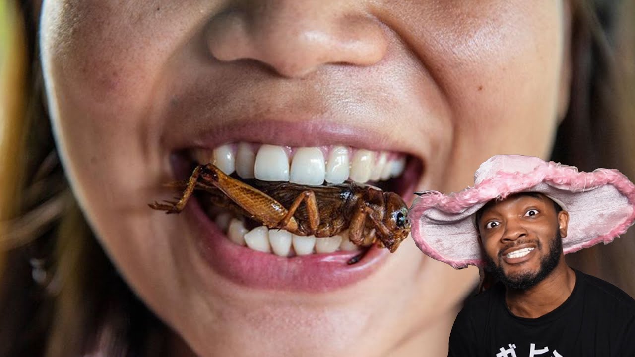 Not Wanting To Eat Bugs Is Now A Racist Conspiracy Theory